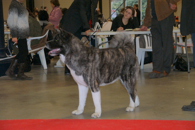 Deci-belle du Clos de Jos