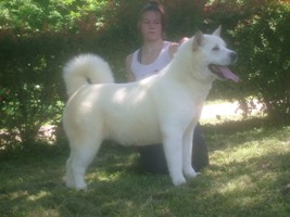 Datcha du Clos de Jos