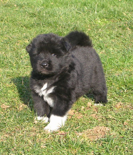 Eh'syka du Clos de Jos