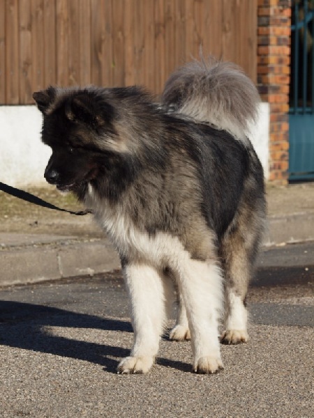 Eh'lany du Clos de Jos