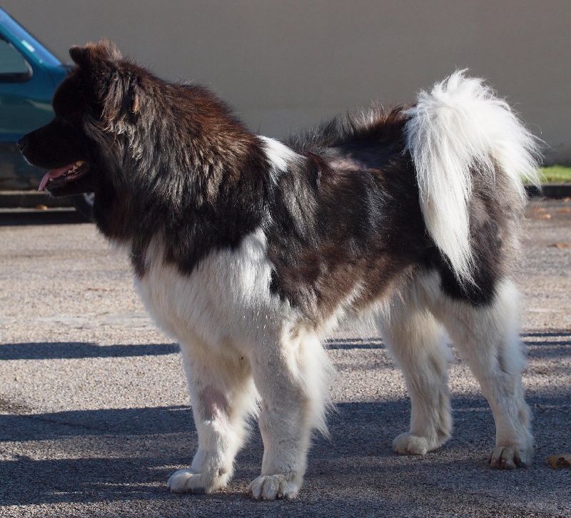 Eh'lody dite eden du Clos de Jos