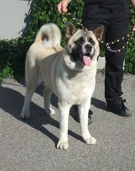 Em'lyne dite extasy du Clos de Jos